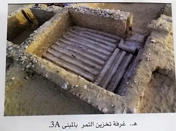 بفحص “الكربون14”.. طريقة استخلاص الدبس الحالية موجودة في القطيف قبل 1700 سنة