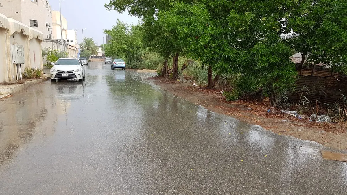 [صور] القطيف تغتسل بالمطر