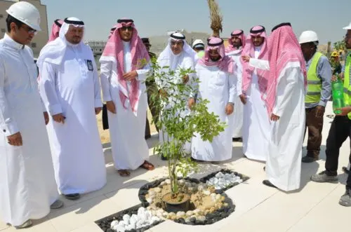 عوّامية جديدة في 364 يوماً