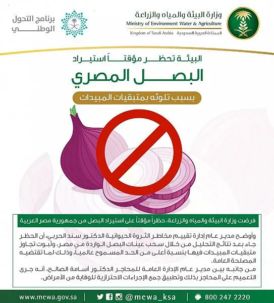 “البيئة”: البصل المصري ملوث بمتبقيات المبيدات