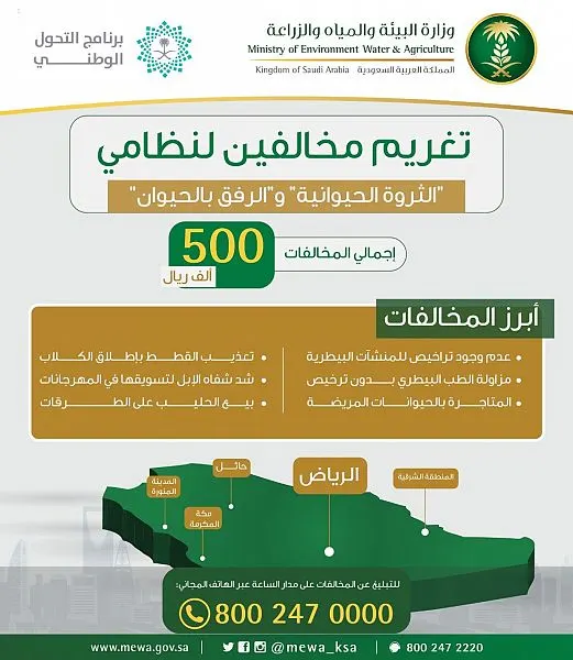 المتاجرة بالحيوانات المريضة وتعذيبها وشد شفاه الإبل يكلف 500 ألف ريال غرامة