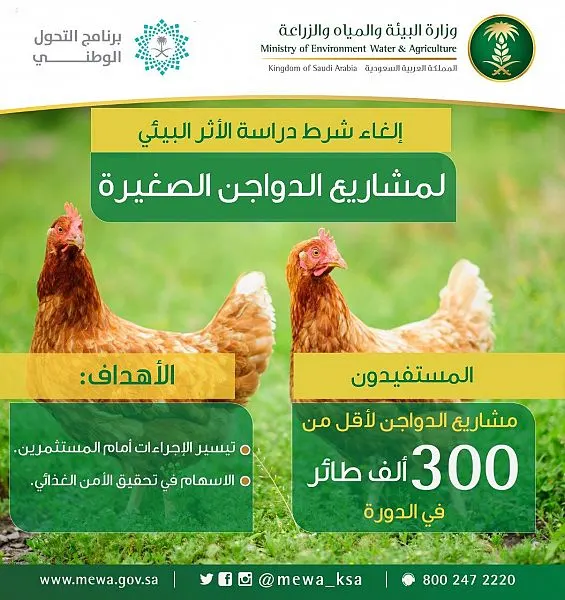 البيئة: إلغاء دراسة الأثر البيئي لمشاريع الدواجن تحت 300 ألف طائر