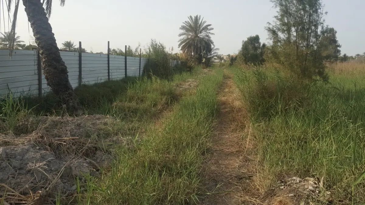 [صور] رغم الرياح والمطر.. فرق المتطوعين تواصل البحث عن عبدالله القصّاب