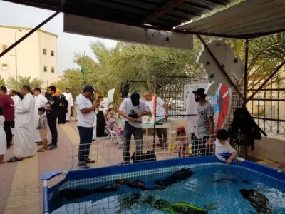 1000 شاب بصفوى يتنفسون تحت الماء في الواقع الافتراضي