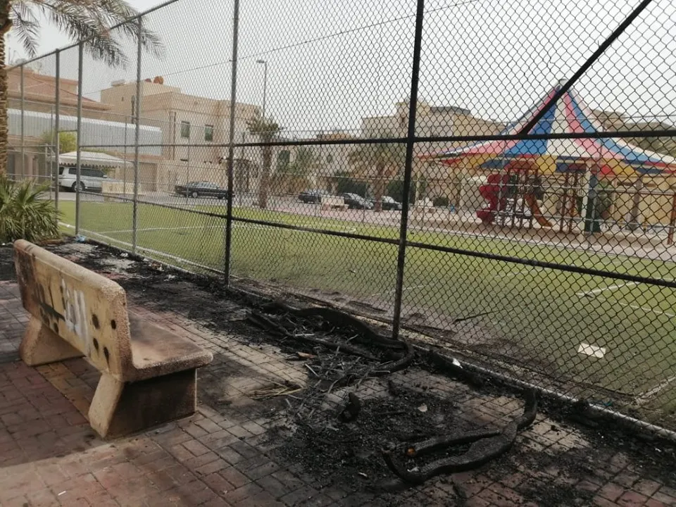 مجهولون أحرقوا نخلة في حديقة الناصرة وخرّبوا أرضية الملعب