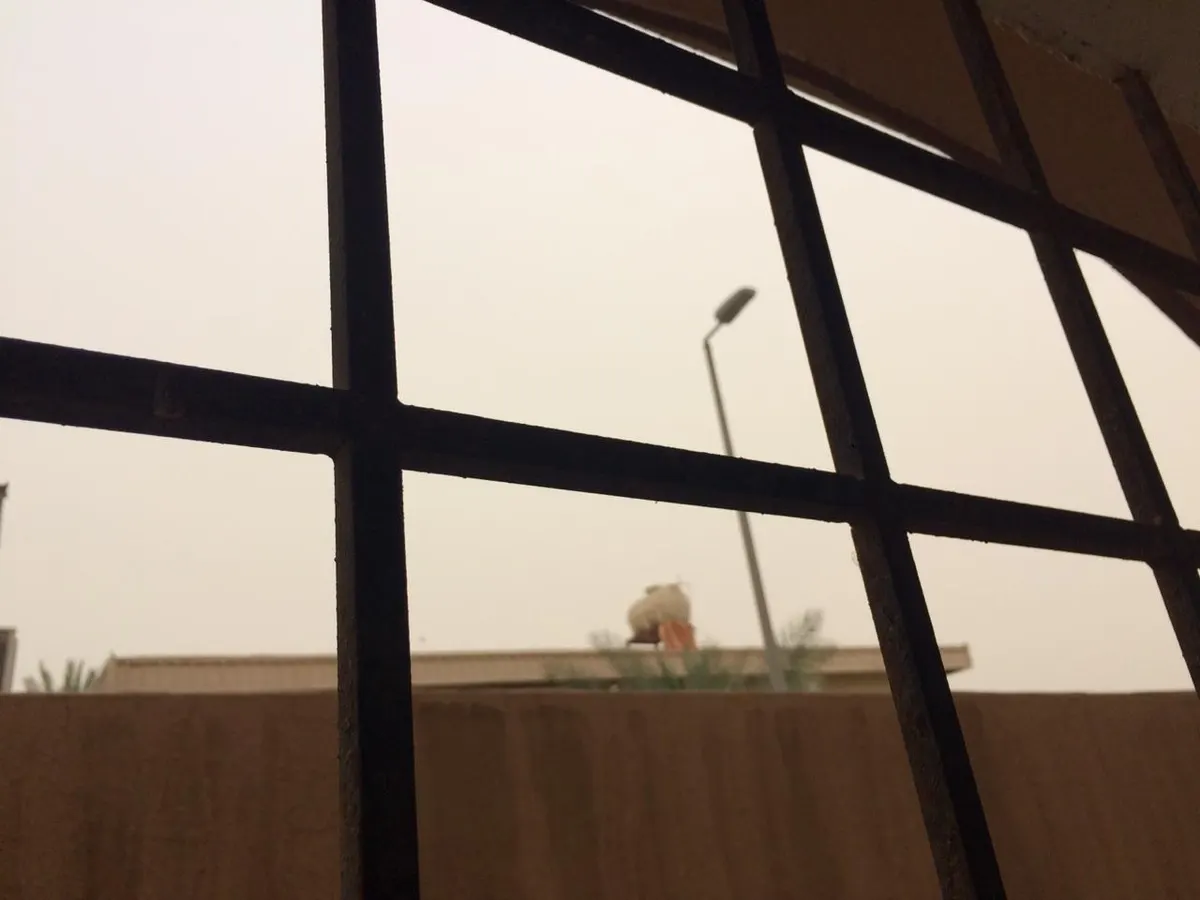 شمس مايو مزاجية.. ومترددة بين الغيوم والغبار