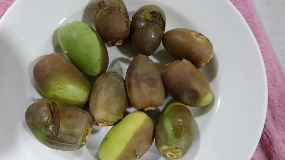 [صور] خَلال چبچاب…!