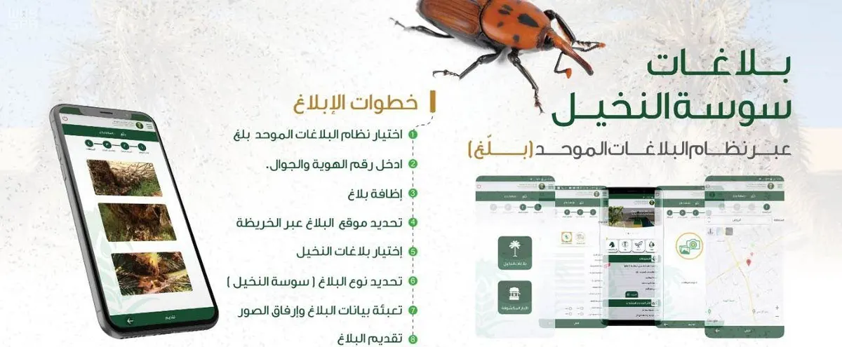 بلّغوا عن السوسة الحمراء.. إليكترونياً