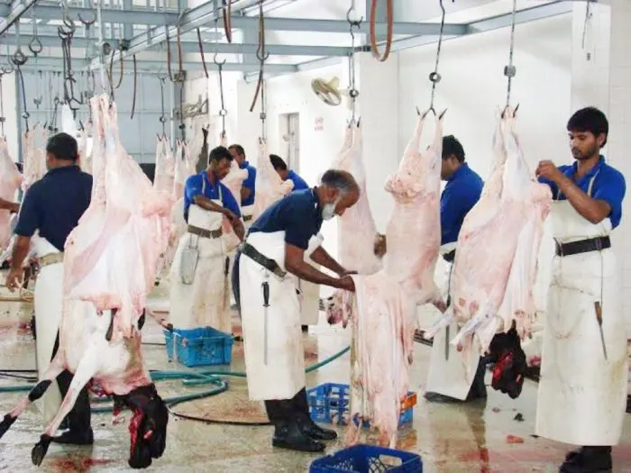 ثلاجة عملاقة في الحج تستوعب مليون أضحية