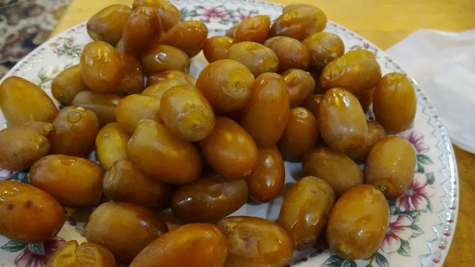 [نخيل القطيف] ثلاثي “التغريش”: خواجي.. أم عِدْقْ.. صَبُوْ…!