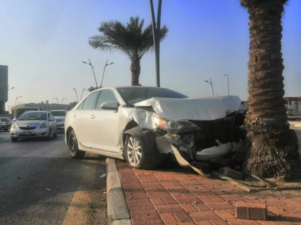[فيديو وصور] انفجر إطار سيارة.. فارتطمت سيارة أخرى بنخلة