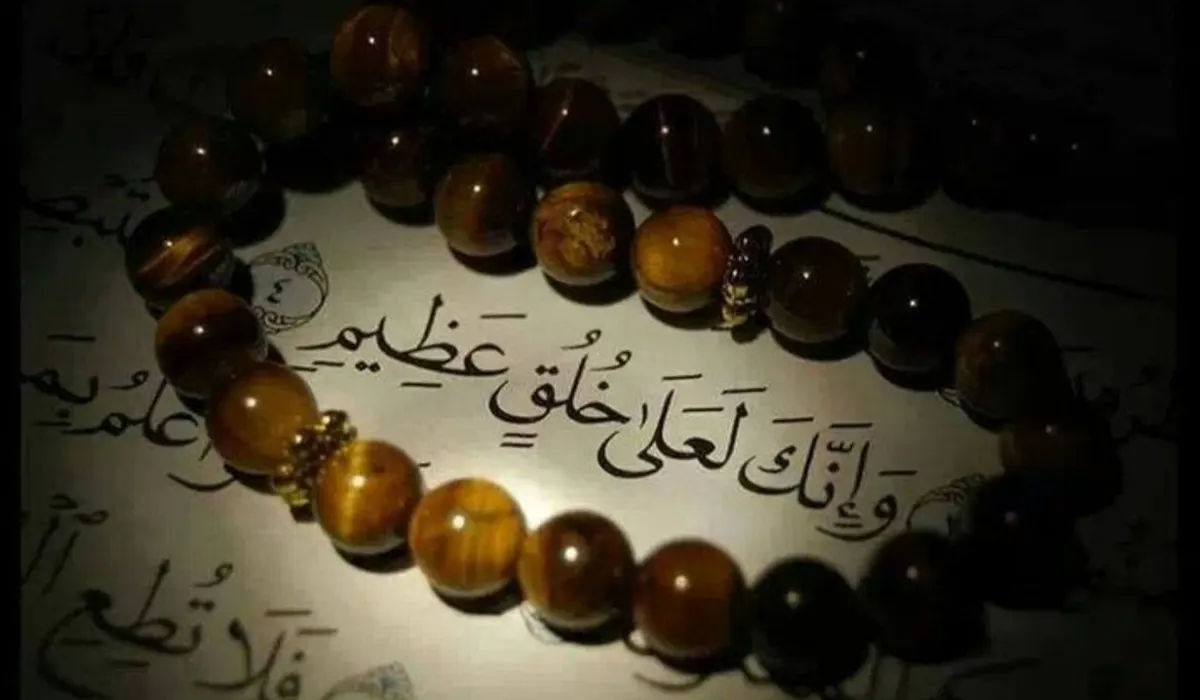 السلام عليك يارسول الله