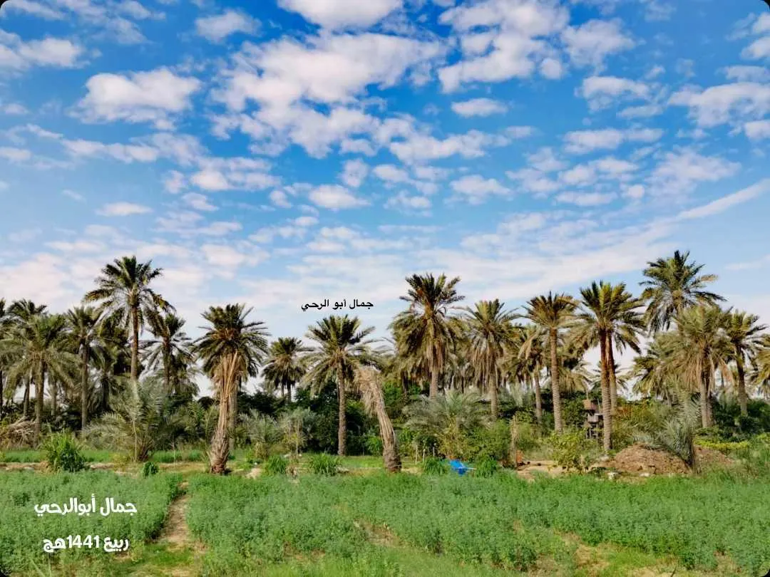 “الأرصاد” الشرقية تواجه أمطاراً رعدية ورياحاً نشطة اليوم