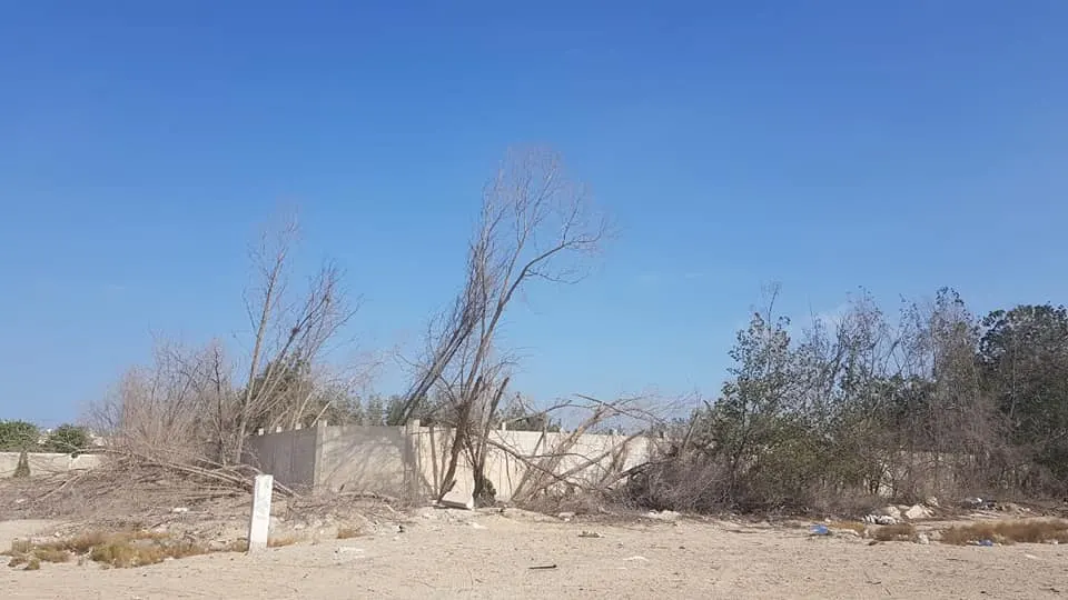 تشوه بصري في سيهات