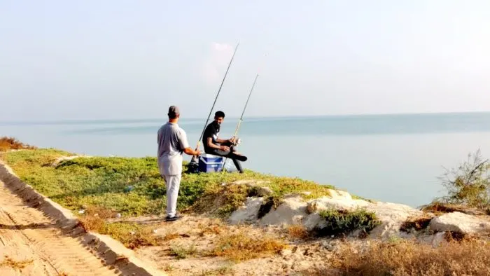 غداً.. توزيع أسماك مجاناً على زوّار كورنيش الرامس