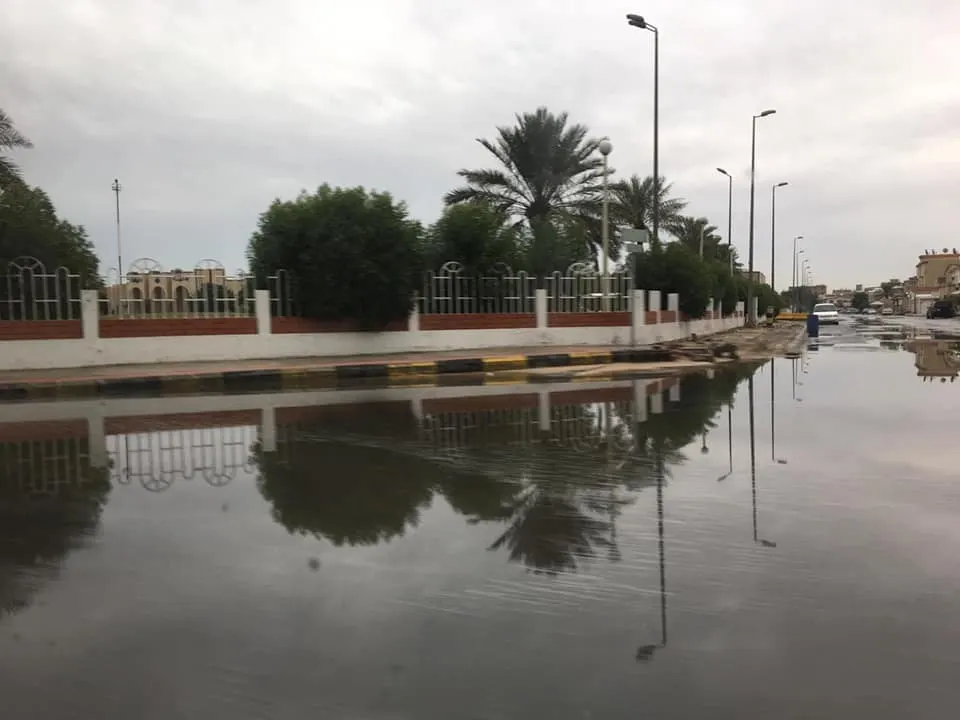 صور.. مطر الأحد