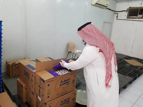الأزمة “المفتعَلة” تنكشف.. و “الزراعة” تضبط محتكرين خزّنوا البيض لرفع الأسعار