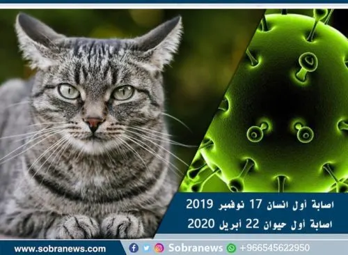 [كورونا] أول إنسان في الصين.. وأول حيوان في أمريكا