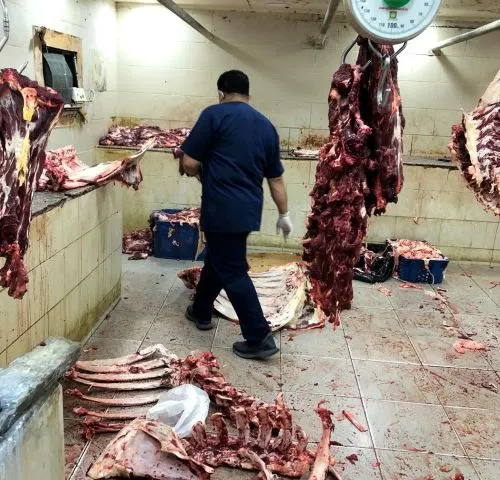 سيهات: إحباط تسويق 800 كيلو جرام من اللحوم مجهولة المصدر