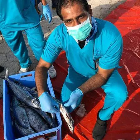 مواد غذائية فاسدة وإنذارات خلال جولات رقابية على مزارع بالقطيف