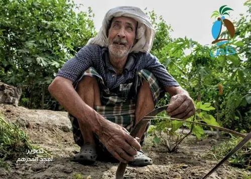 [فيديو] على الحبيب.. كفيف في التسعين مستمر في الزراعة.. وزوجته شريكته