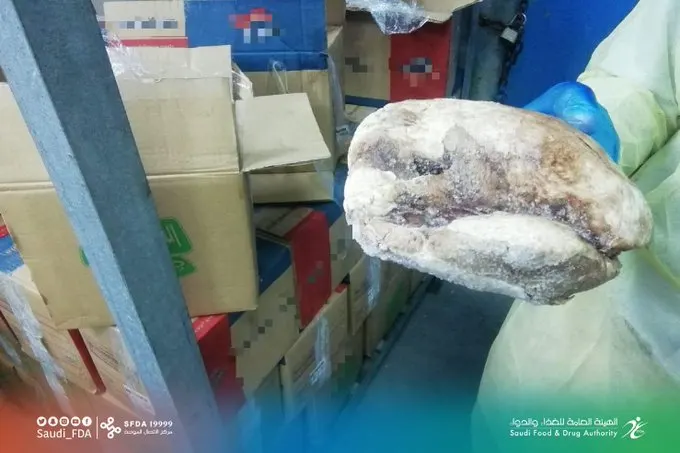 ضبط 83 طن لحوم فاسدة قبيل توزيعها على أسواق الشرقية
