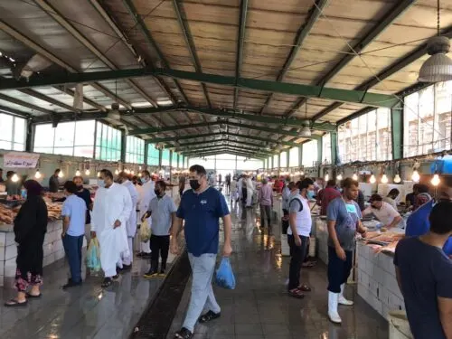 [تحليل إحصائي] تعافي القطيف انخفض من 91% إلى 50.5%.. والعناية المركزة ارتفعت إلى 4 وحدات