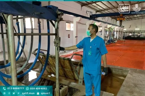 إعادة هيكلة مصانع الثلج في القطيف.. والبداية من تاروت