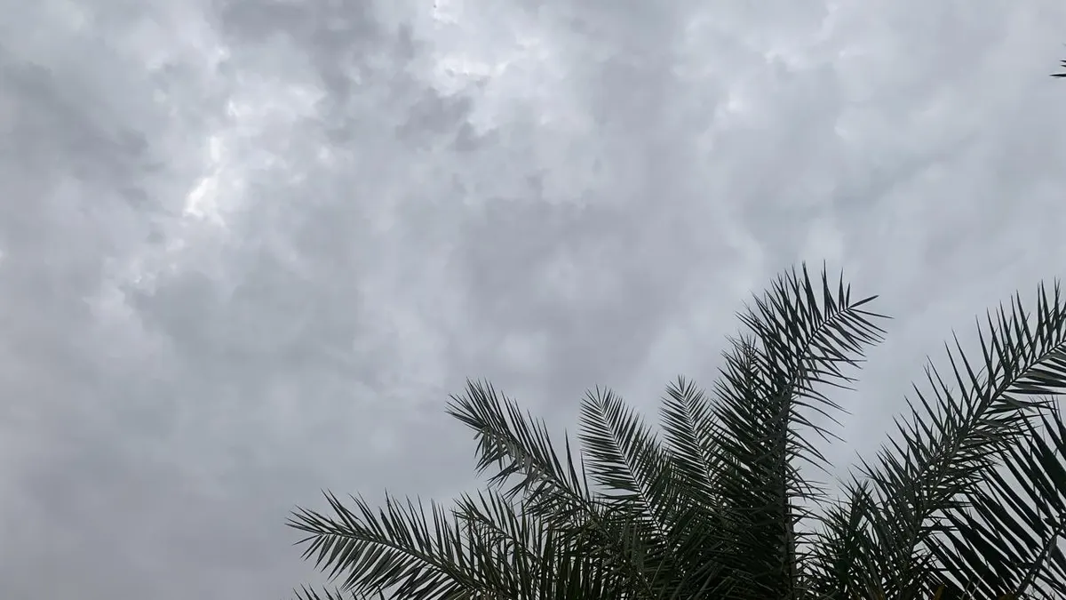 يوليو يتشبّه بالربيع.. سحابة كاذبة تملأ سماء القطيف.. بلا مطر