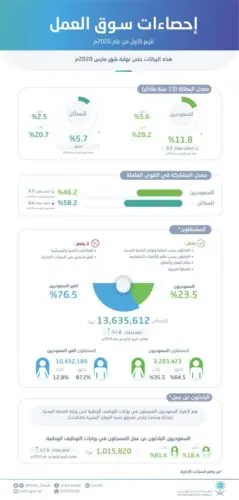 السعوديات يستحوذن على 27.5% من سوق العمل في مؤشرات 2020