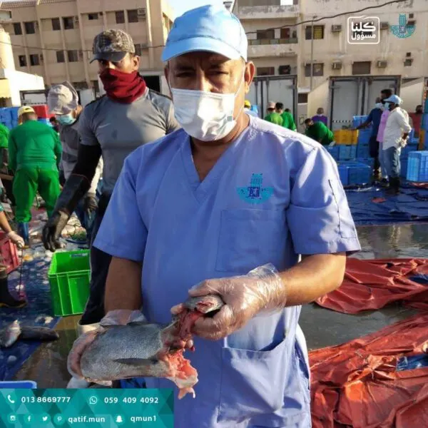 إحباط تسويق طنين من الأسماك الفاسدة في القطيف
