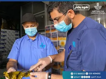 إغلاق منشأة تبيع ورق عنب تالف في تاروت.. وورشتين في صناعية تركية