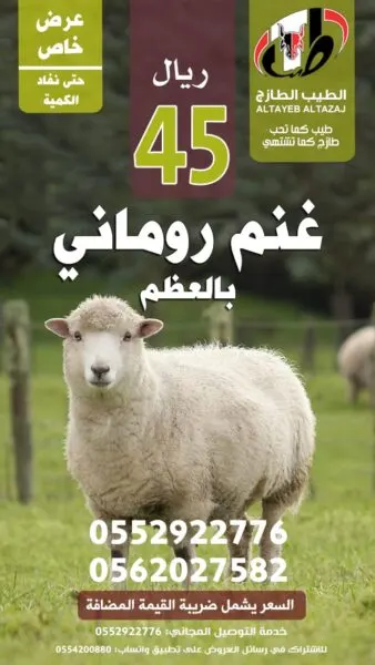 تبغي بالكيلو..؟ لا يفوتك الروماني