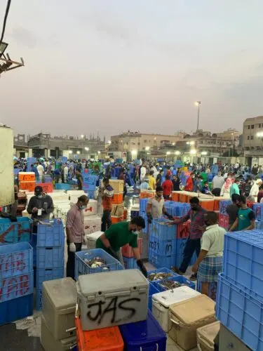 [صور] القطيف.. كميات قليلة وأحجام صغيرة ومتوسطة في أول مزاد روبيان في انتظار “اللنجات” الكبيرة