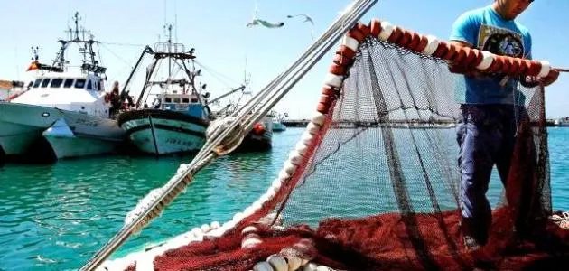 ورشة عمل عن استثمار مرافئ الصيد في الشرقية