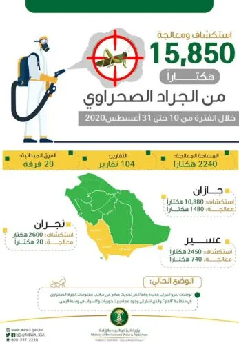 الجراد الصحراوي يغزو مناطق سعودية منذراً بموسم شتوي مُبكر