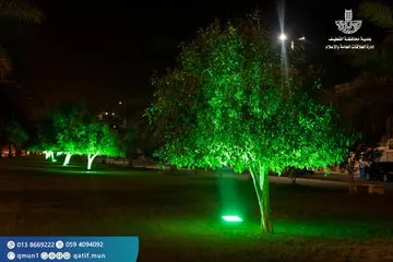 القطيف خضراء احتفاءً باليوم الوطني الـ90