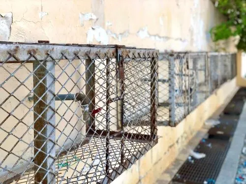 شركة المياه تُنهي عهد “البَيْدَرْ”.. إغلاق 31 نقطة توزيع مياه في القطيف