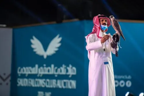 في 4 أيام.. بيع 14 صقراً بمليون و500 ألف ريال