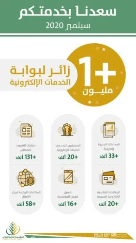 33333 زائراً يومياً لبوابة “التقاعد”