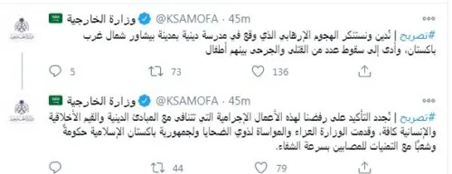 المملكة تدين هجوماً إرهابياً وقع في مدرسة بباكستان