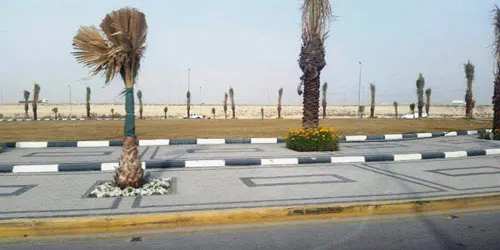 القطيف.. نزع ملكية 25 عقاراً لفك اختناق مدخل أم الساهك