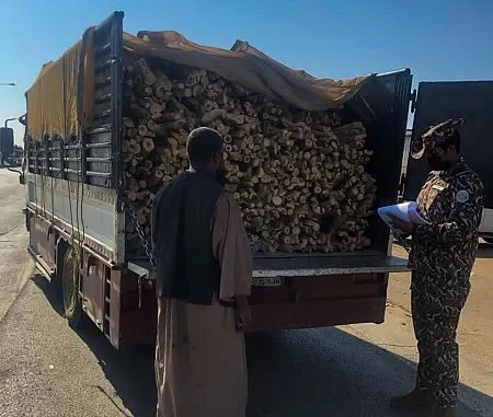 ضبط 150 طن حطب في 5 مناطق.. وجهود أمنية لمراقبة مستودعات أخرى