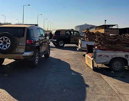 قوات الأمن البيئي تلاحق باعة الحطب.. حتى في مواقع التواصل