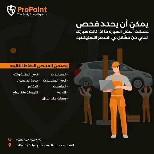 جودة نعتز فيها.. ProPaint