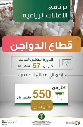 إيداع 57 مليون ريال في حسابات مشاريع تربية الدواجن