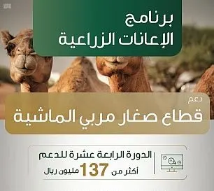 137 مليون ريال لدعم 109 آلاف من مربي ومربيات الماشية