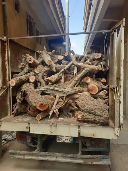 عيون الرقابة بالمرصاد خلال الشتاء.. ضبط 120 طن حطب محلي في 4 مناطق