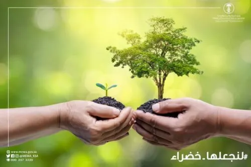 نثر 300 كيلوغرام بذور في جوسمين.. وزراعة 1.2 مليون شجرة بالشرقية