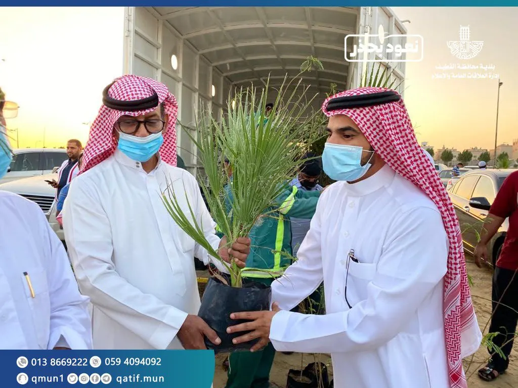 القطيف.. مراقبة محال الأسماك وتوزيع 1500 شجرة ومواقف لذوي الاحتياجات